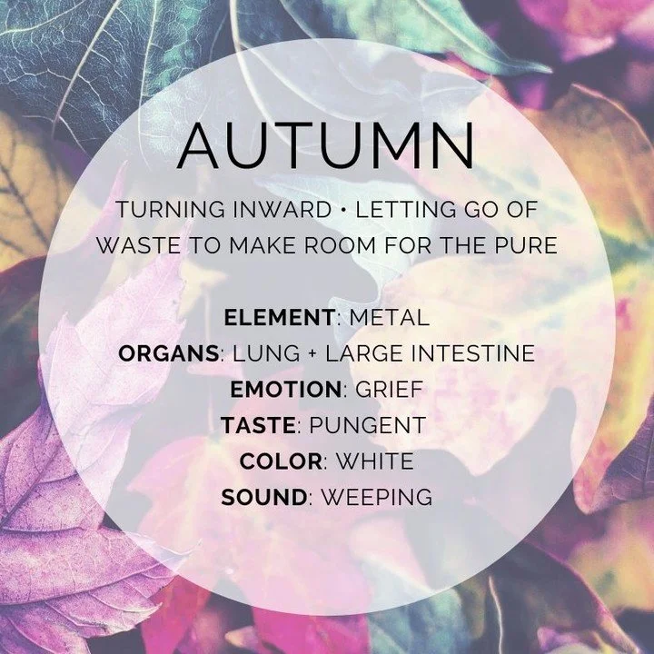 My fall newsletter just went out! 🍂

I'll be honest: fall is my least favorite season. But years ago my acupuncturist gave me a reframe that changed how I think about it, and I'm sharing it with you.

Inside the newsletter, you'll find how to suppor