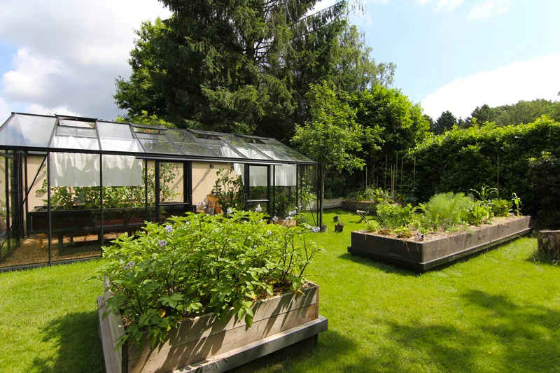 Jardin-potager-1.jpg