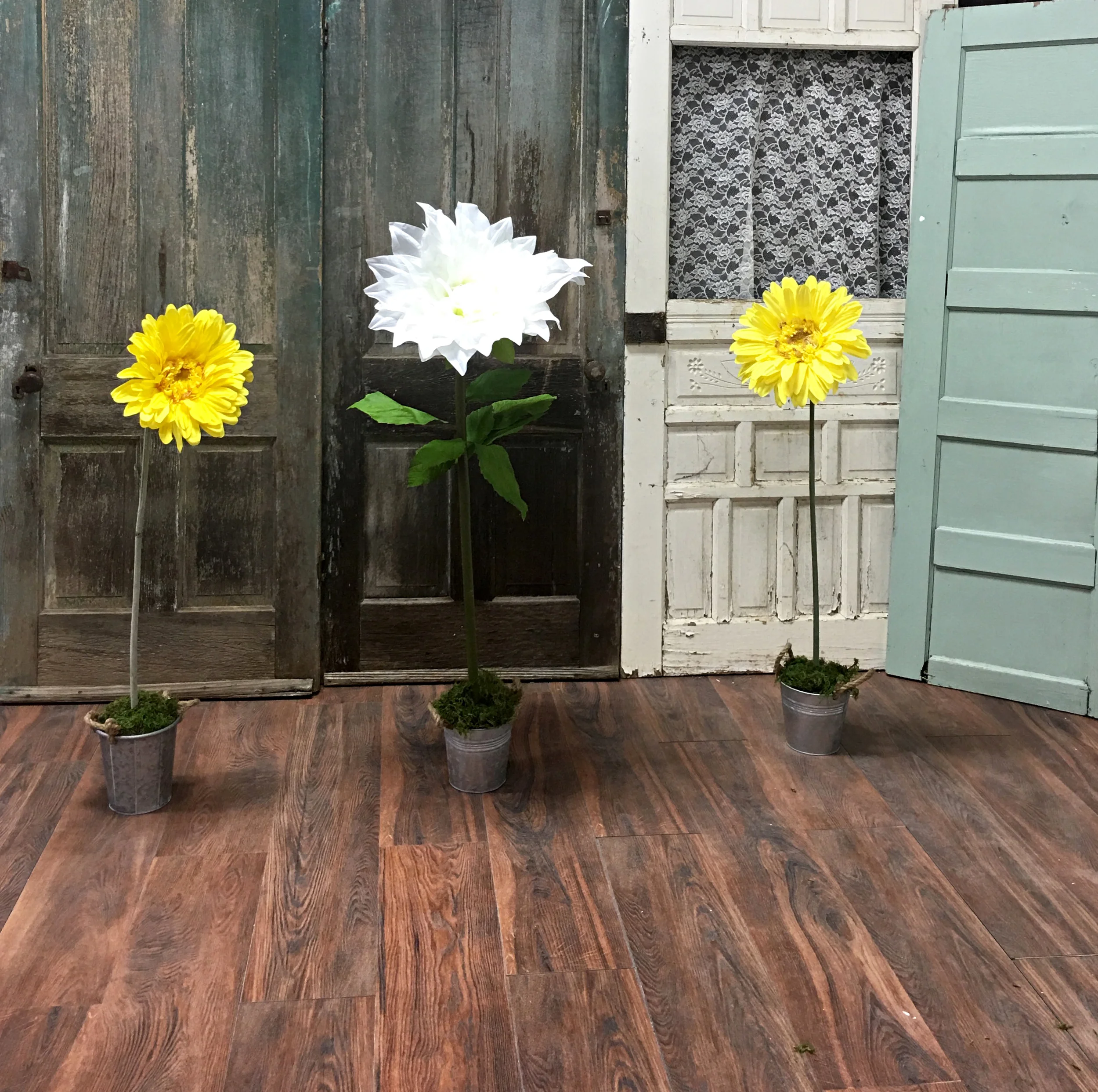 backdrop.jpg