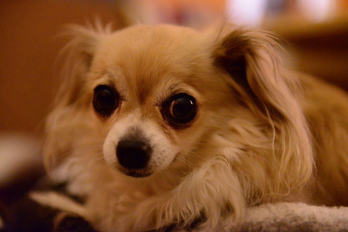 DSC_2756.JPG