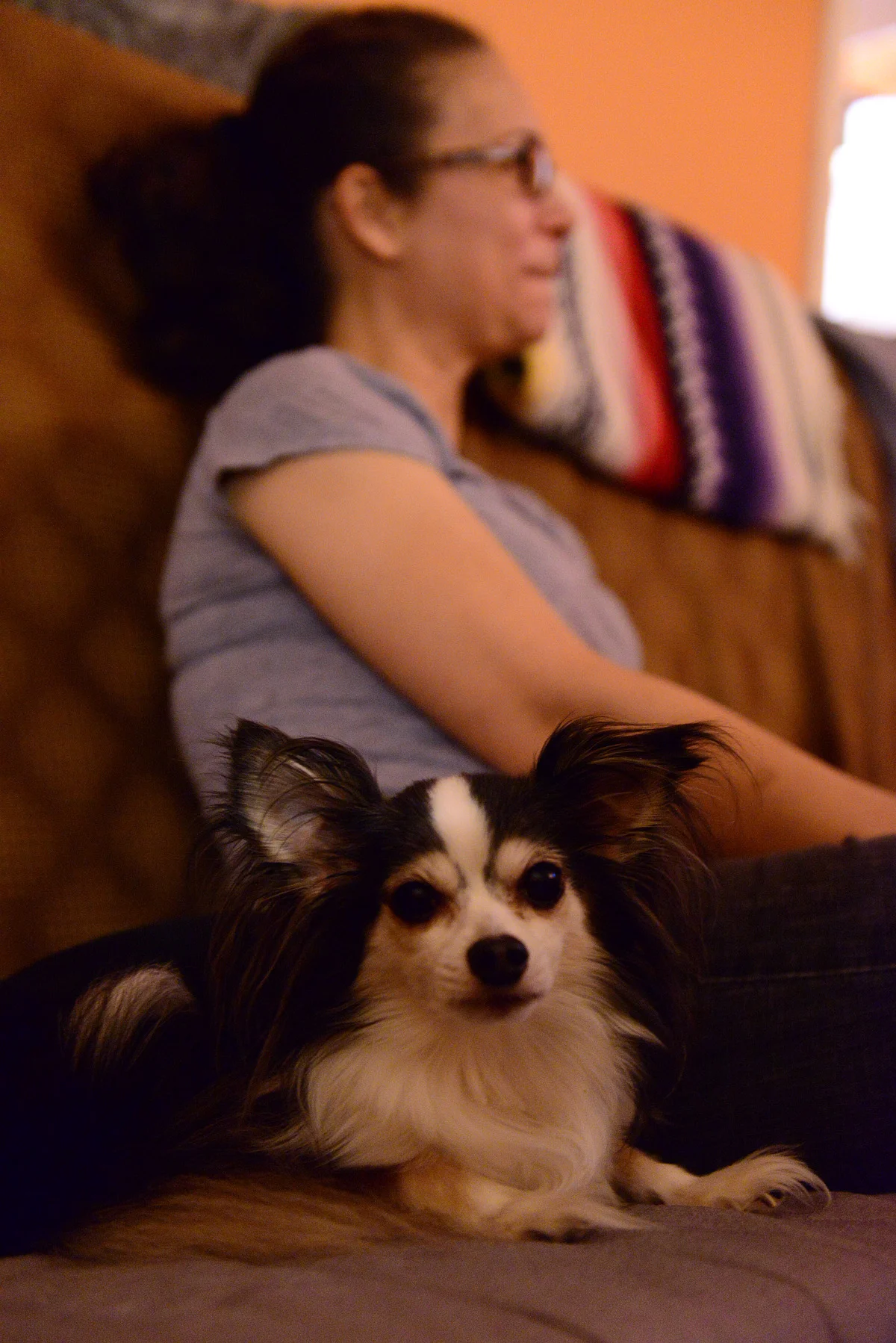 DSC_2863.JPG