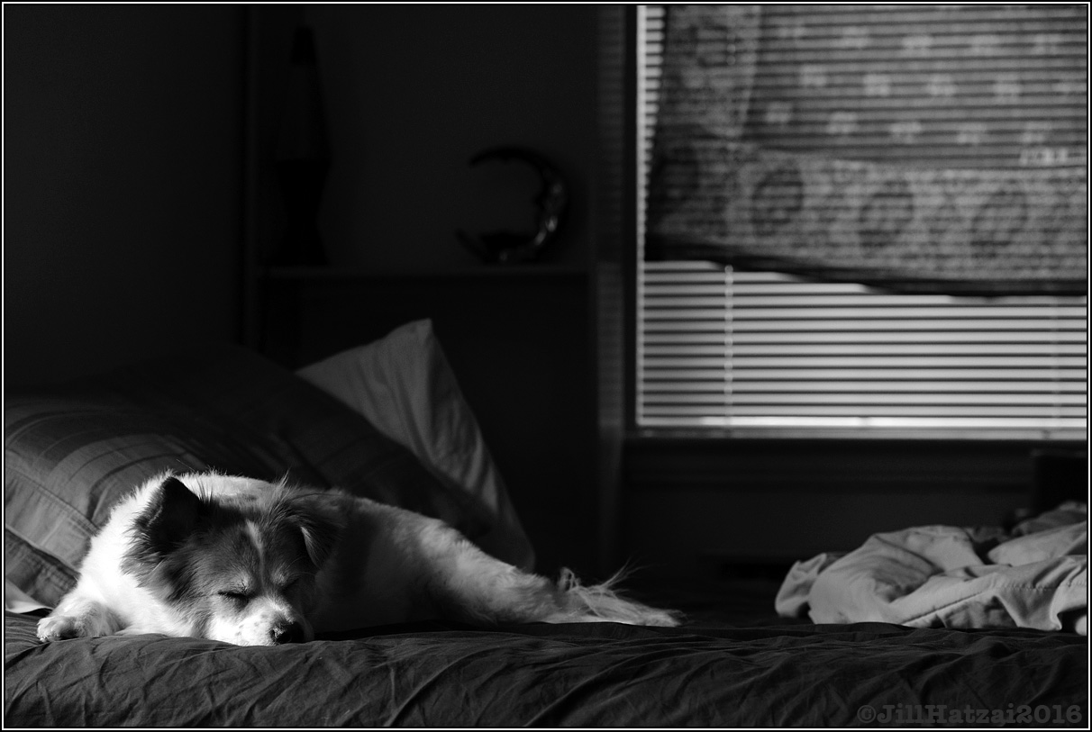DSC_6751 small BW.jpg