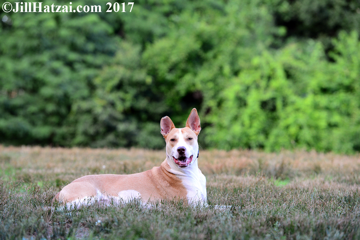 DSC_7666 small.jpg