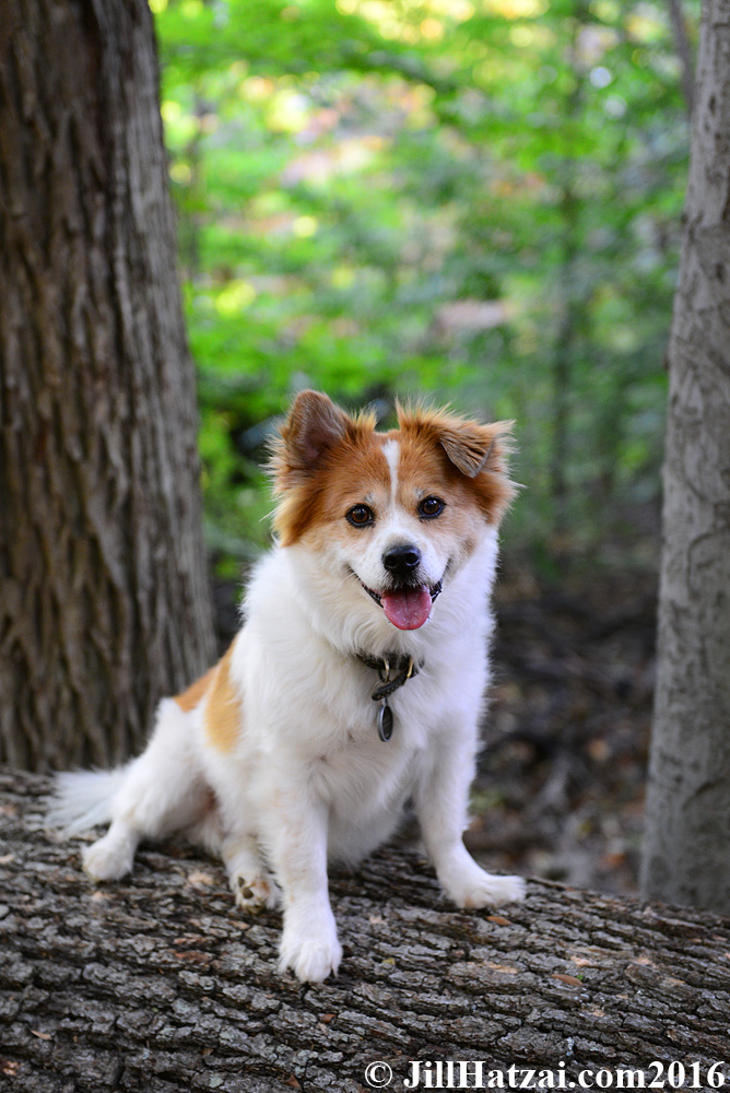 DSC_0125 small.jpg