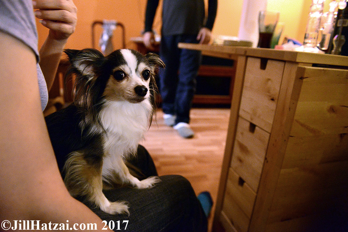 DSC_2843 small.jpg