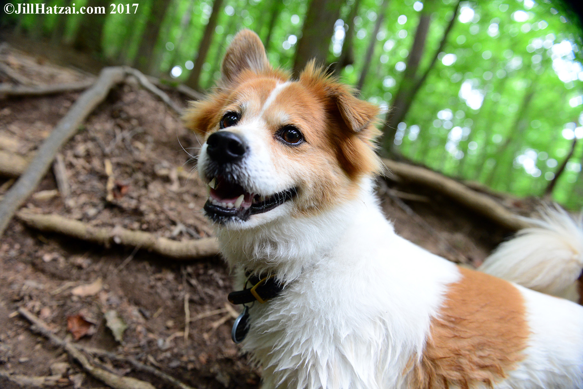 DSC_2463 small.jpg