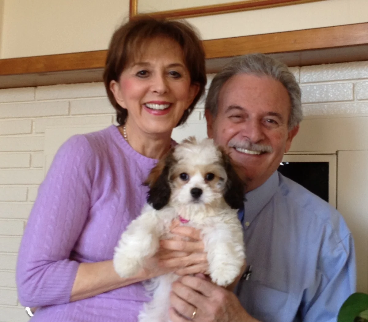 Linda-Goldman-Family-Child-Grieving-Therapist-MD-Washington-DC copy.jpg
