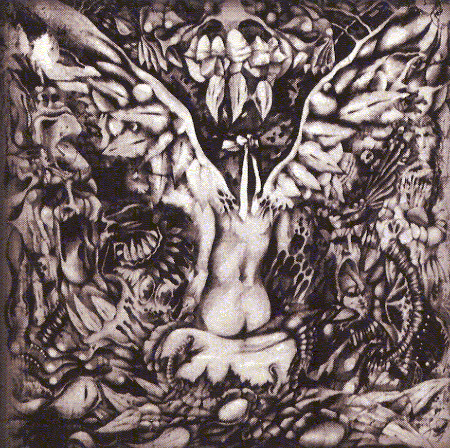 Silent Cocaine Nights