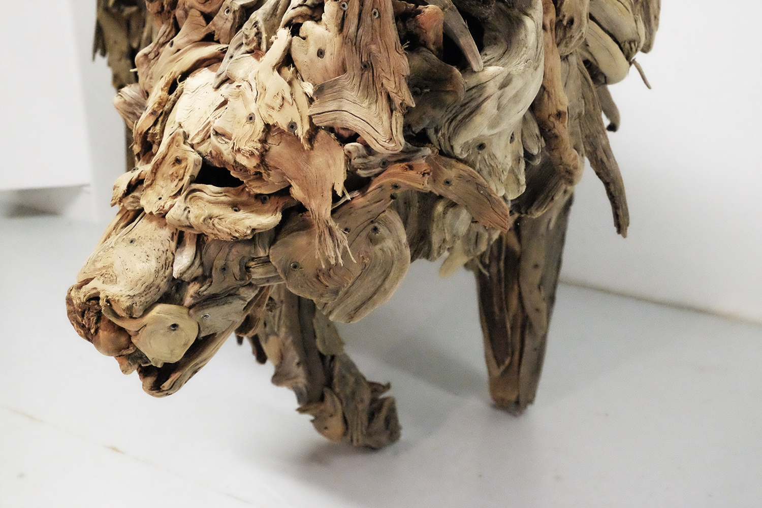 Detail of a grizzly bear that will be part of my upcoming show at Madrona Gallery in Victoria B.C. 