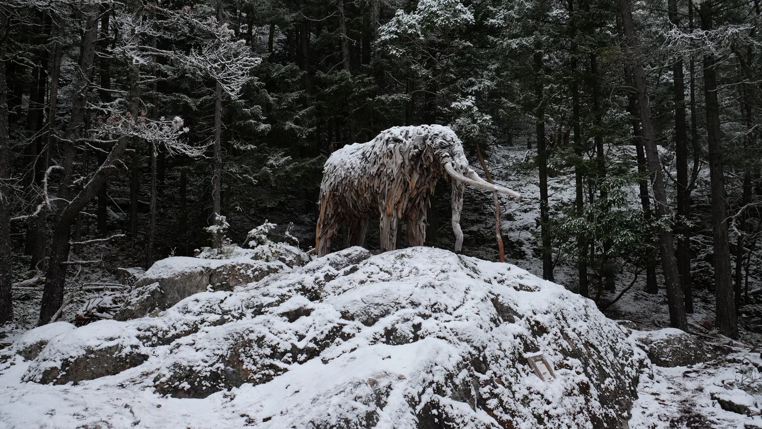Mastodon Project — Guthrie Gloag