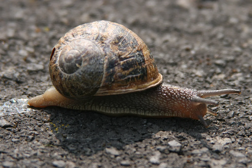 Why your restaurant sucks when it’s slow and it’s your fault!