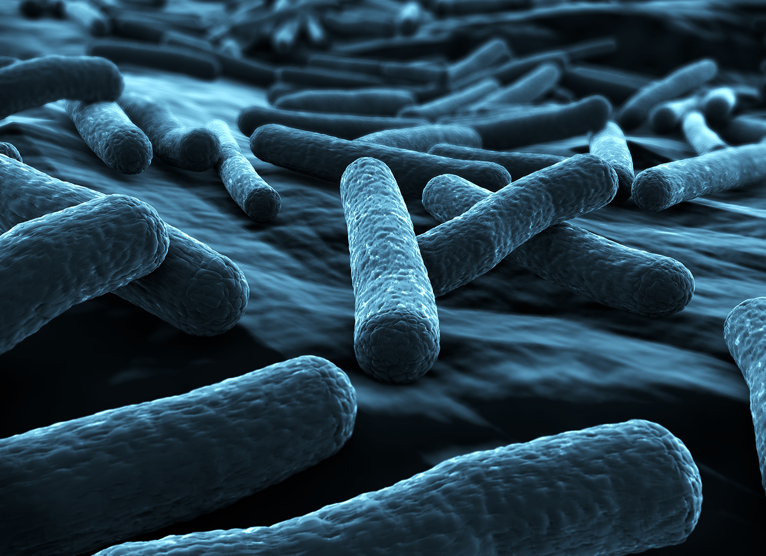 The Daily Rail: There's a new strain of E.coli on the block & it's a BAMF