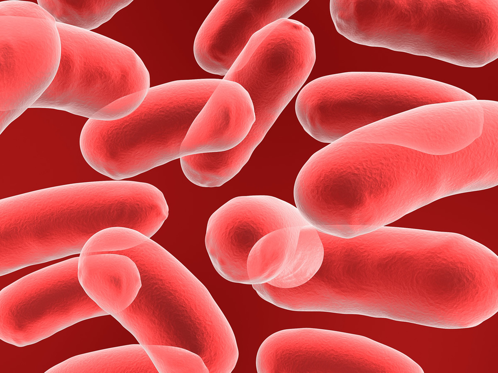 How much do you know about foodborne illnesses?