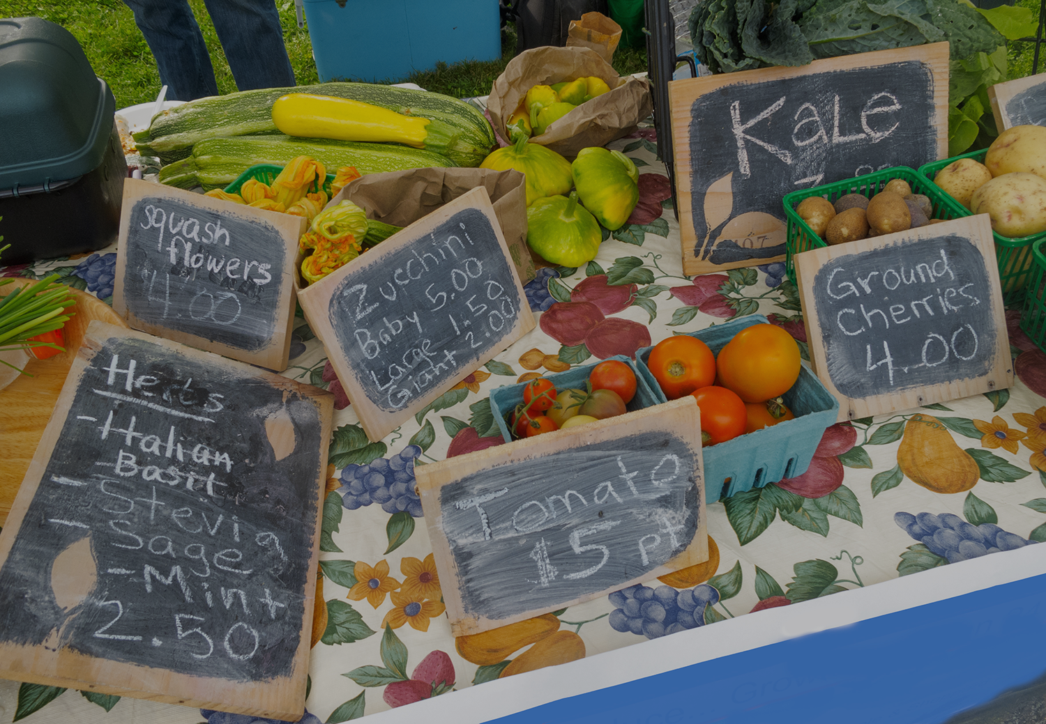 WATCH: Farm-to-Table: Fad, Fable or Future of Food? 