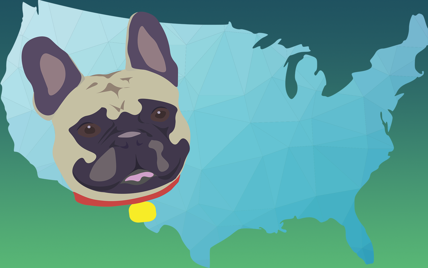 Fido's Top-Five: The Dog-Friendliest Restaurant Cities in the US