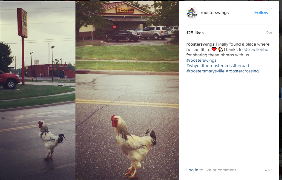 Chicken Road Crossing