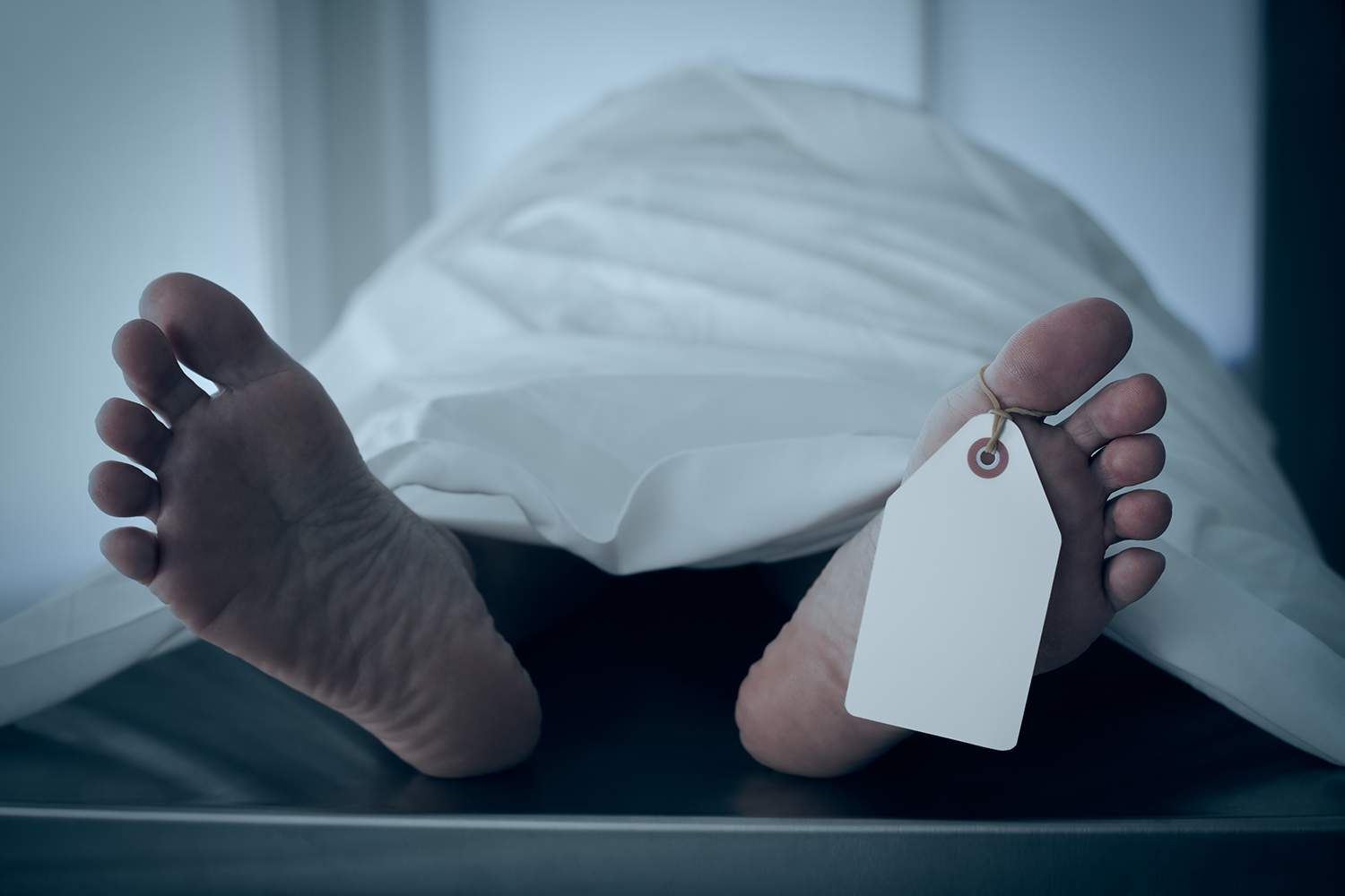 The Daily Rail: Over My Dead Body