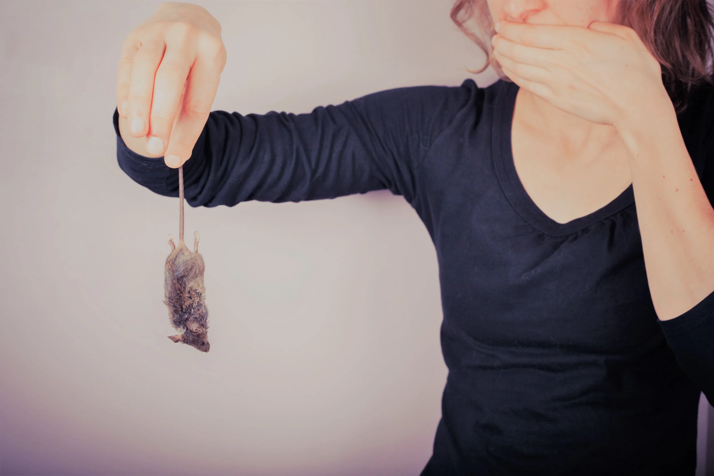 Can You Spot the Rat in These Restaurants?