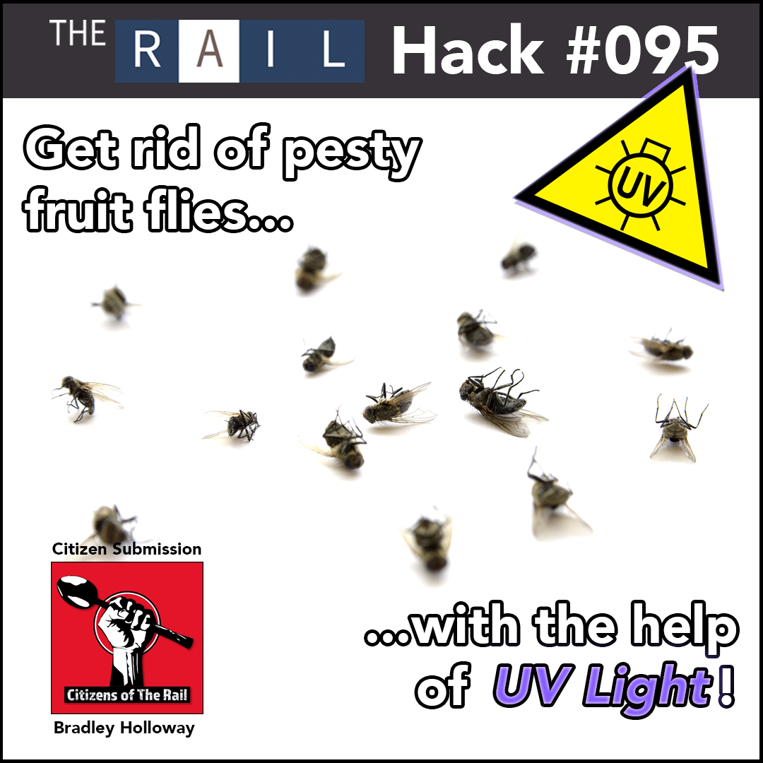 Rail Restaurant Hack 095 - UV Light Flies.png