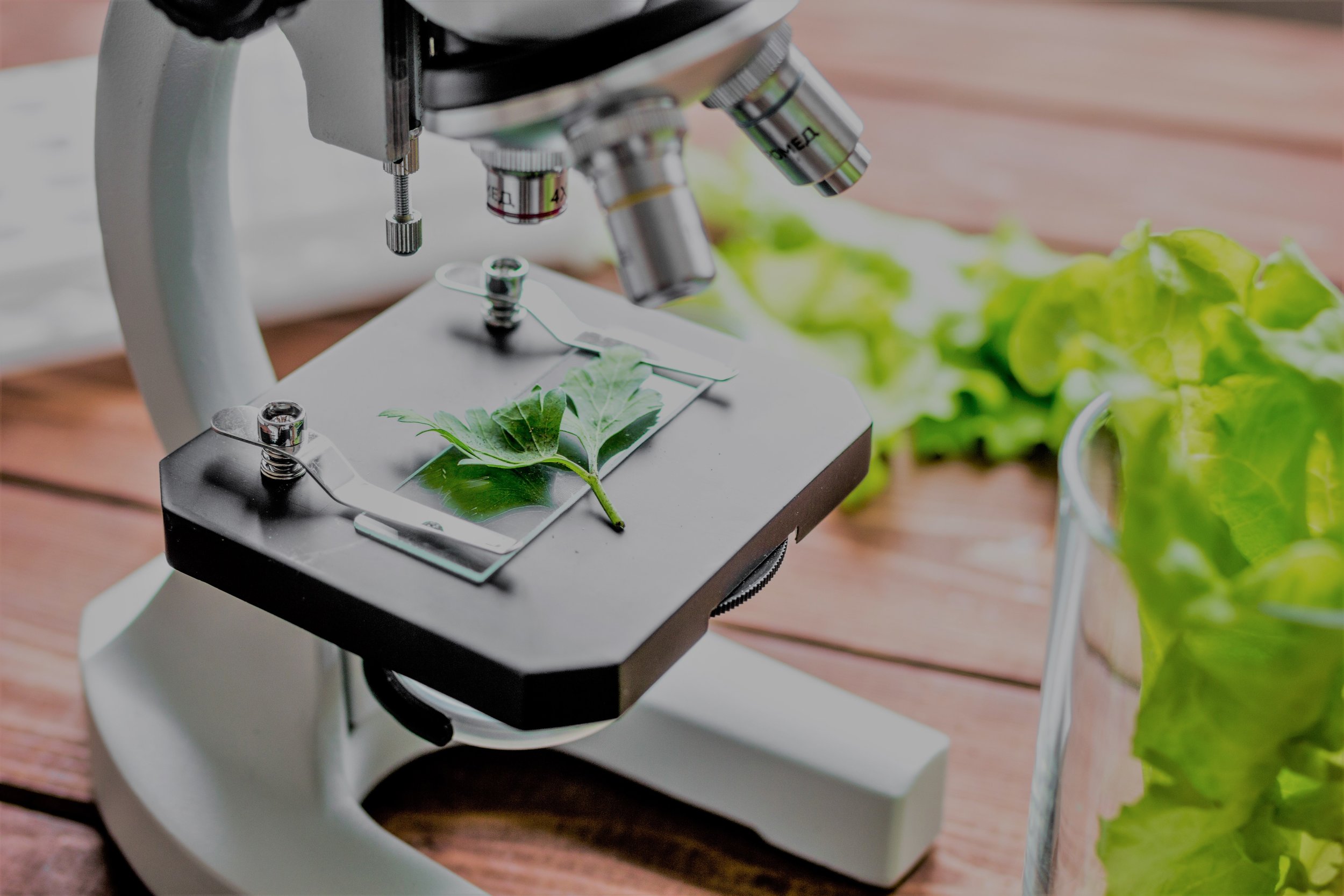 The Daily Rail: A Free FDA App Helps Restaurants with Food Safety