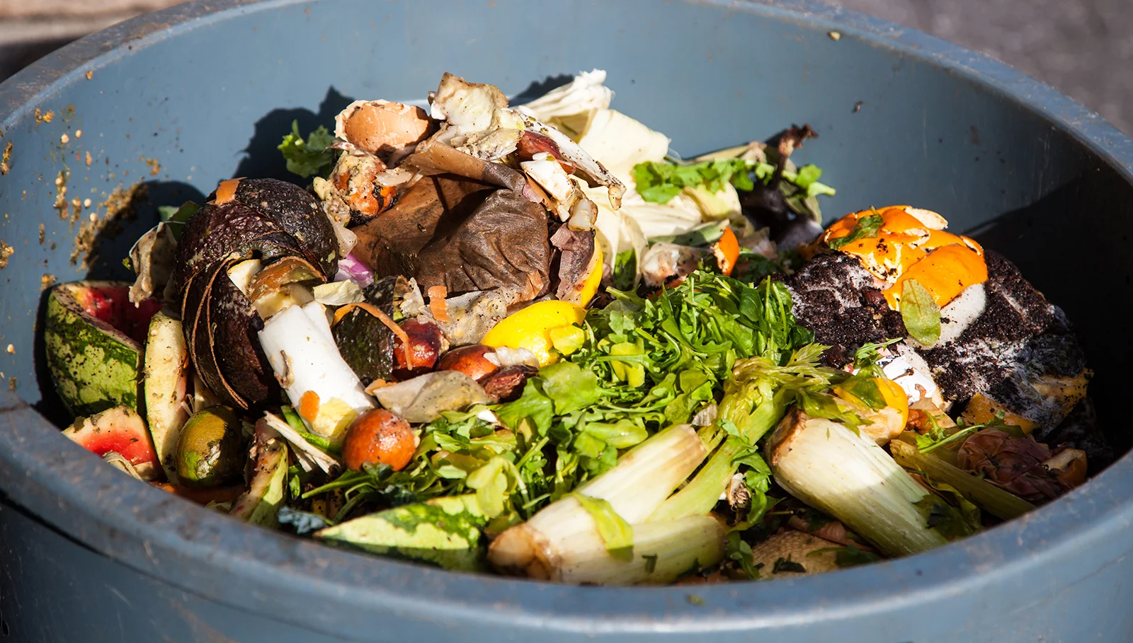 The Daily Rail: New UK App Works with Restaurants to Fight Food Waste