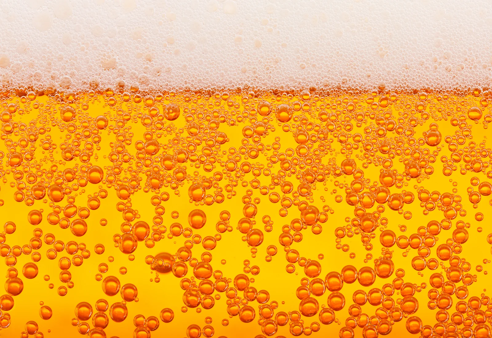 The Daily Rail: Is Beer Foam Art the Next Big Thing?