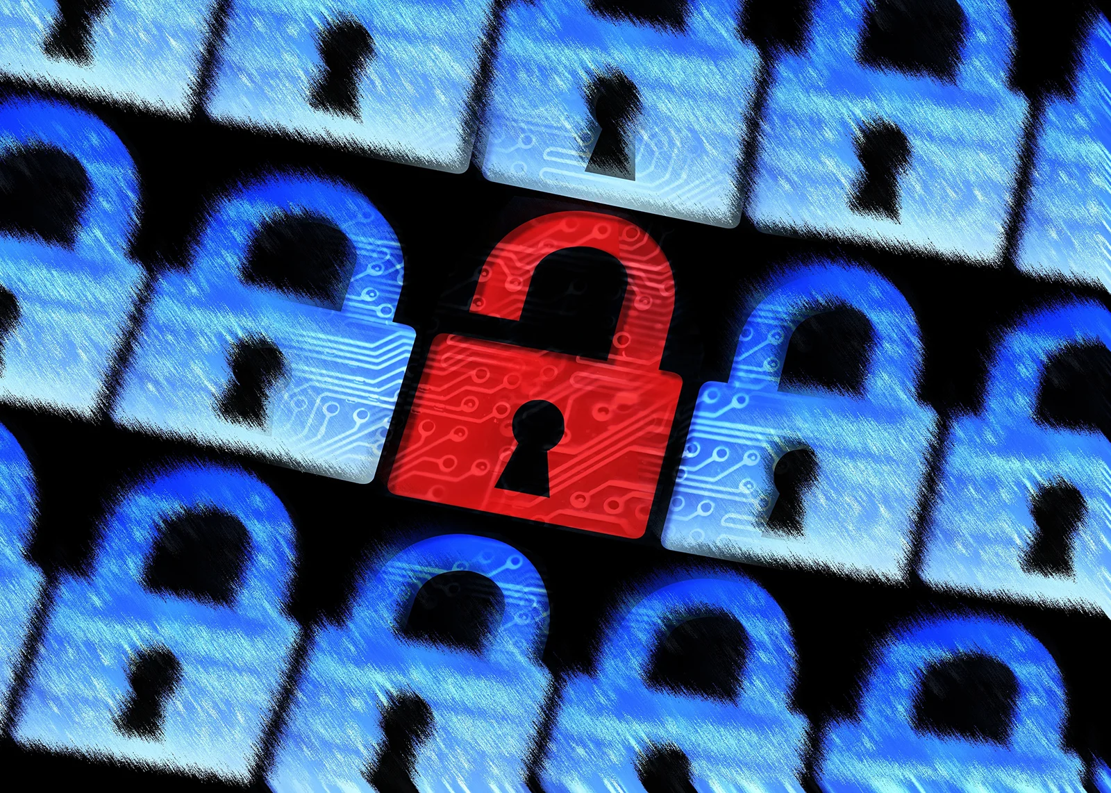 The Daily Rail: Panera Bread an Example of How NOT to Handle Data Breaches