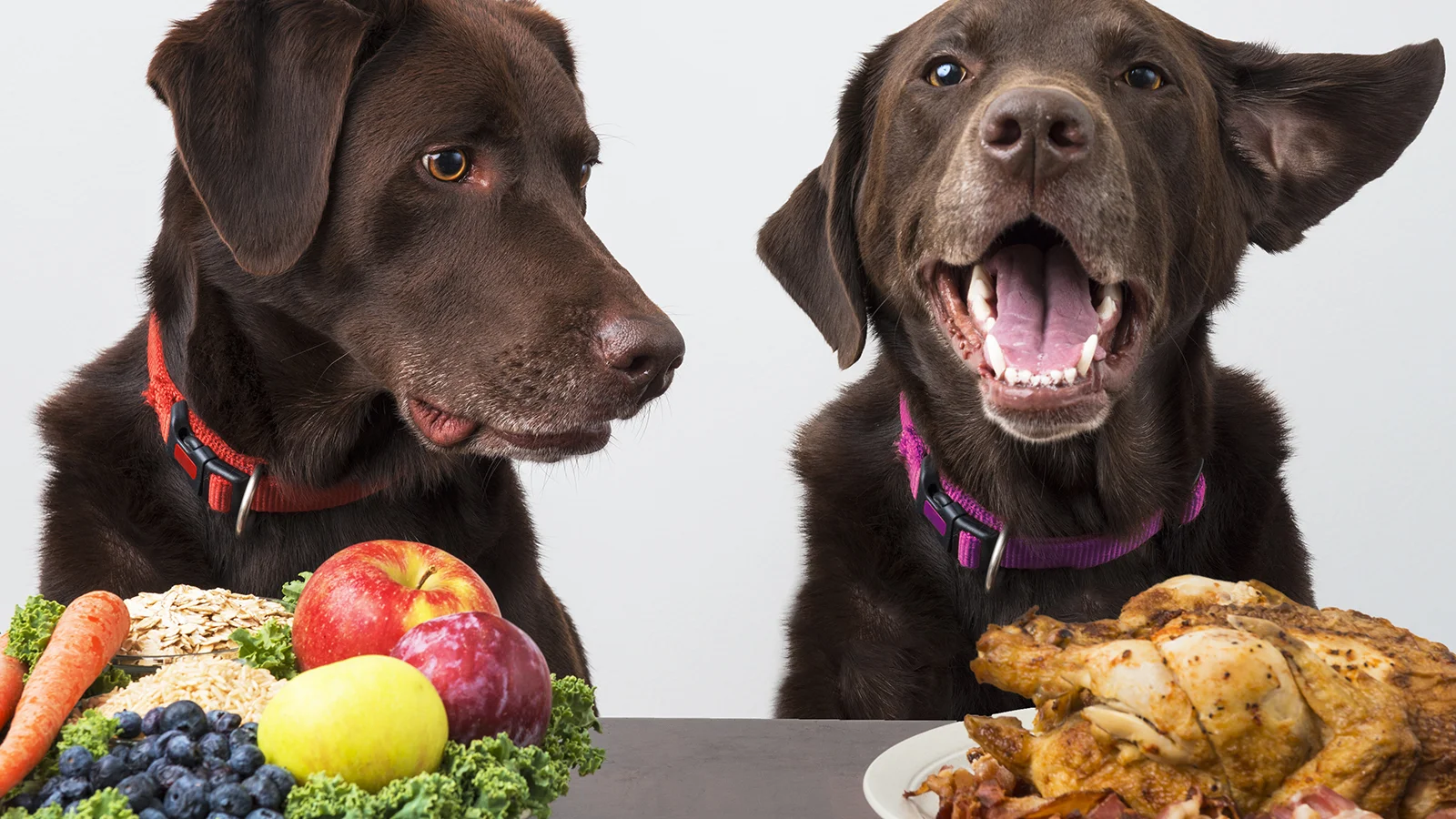 The Daily Rail: Should Your Restaurant Go Vegan?