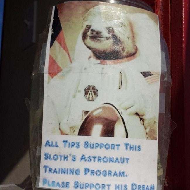 nasa-needs-a-lot-of-help-guys-c_mon-photo-u2.jpeg