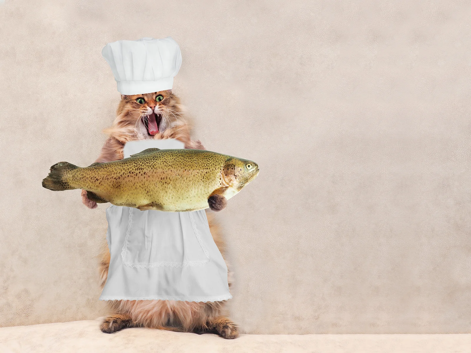Restaurant Memes: Stages of the Avocado, Fake Butter, Golem Sewing, the New X-Men Movie, and More!