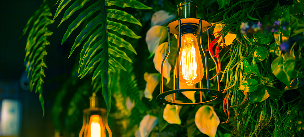 eco-friendly restaurant design