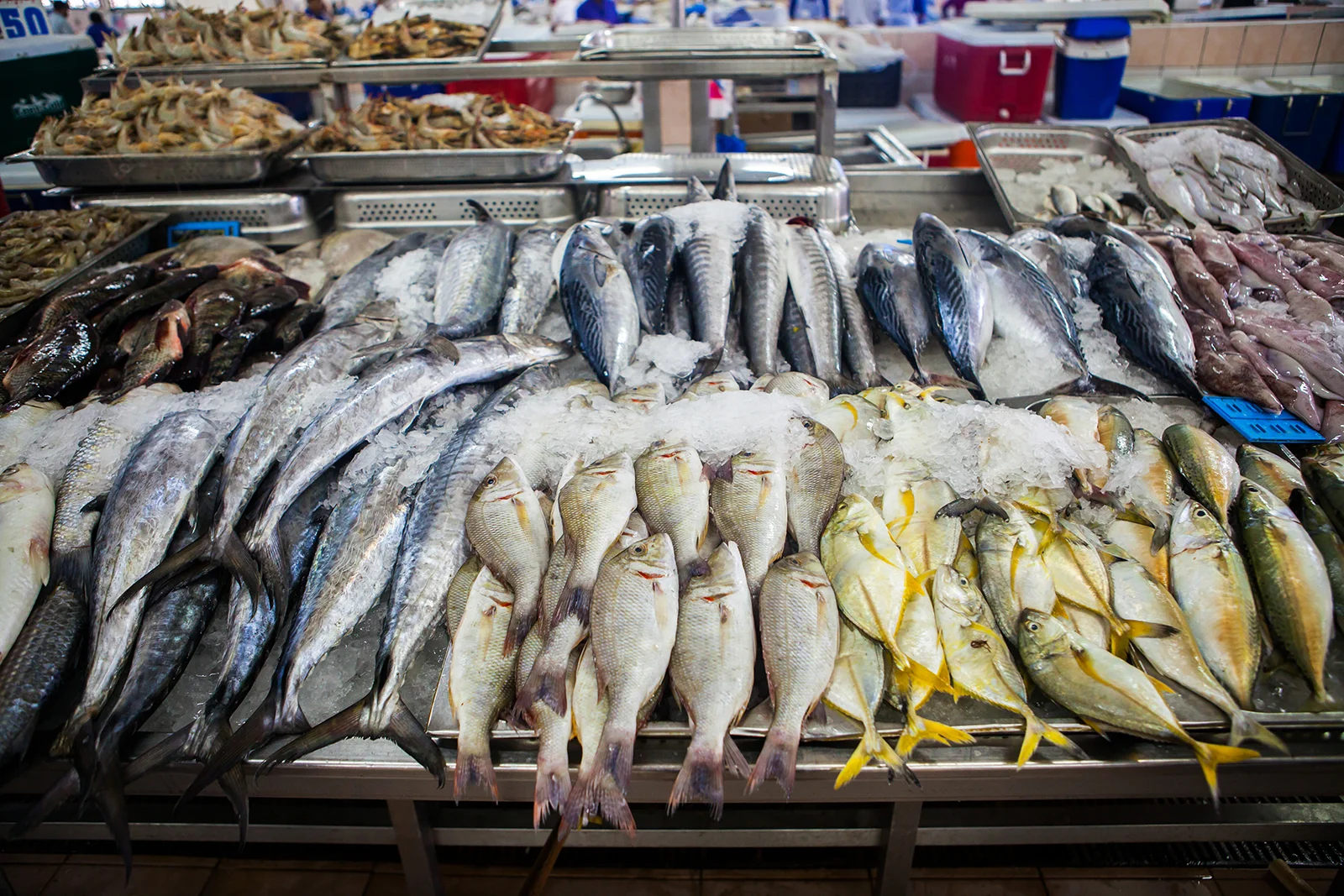 The Daily Rail: Restaurant Seafood Supplier Accused of Mislabeling Fish