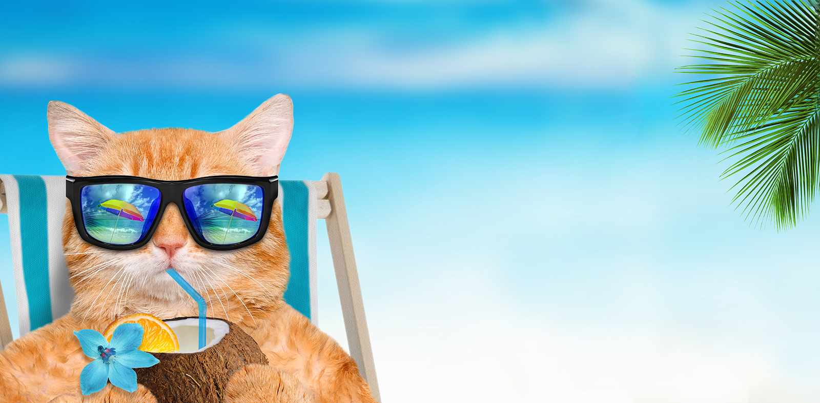 Restaurant Memes: Music, Real life or Fanta-Sea, Hot Pockets, Let That Sink In, and More!