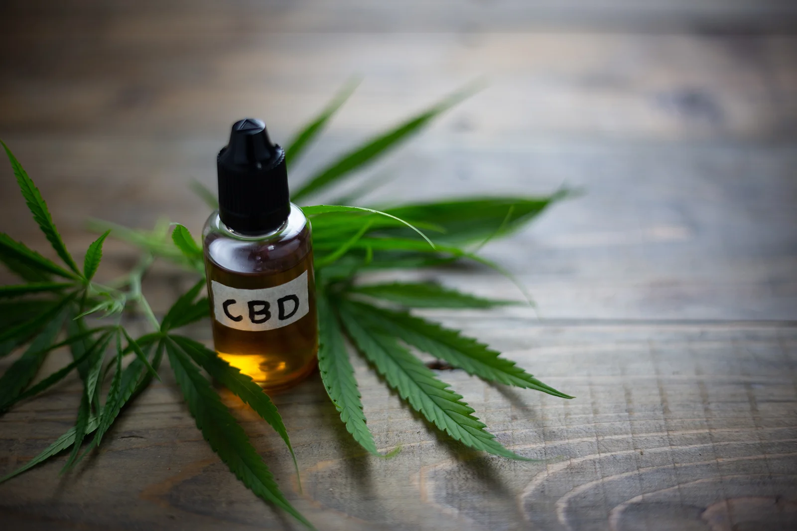 The Daily Rail: CBD is Slowly Making Its Way Into Restaurants