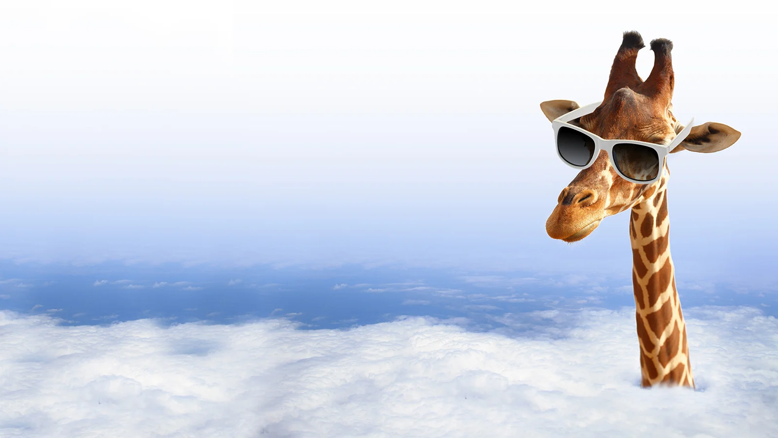 Restaurant Memes: Pigs Flying, Peta, Prep Work, Steve Harvey, and More!