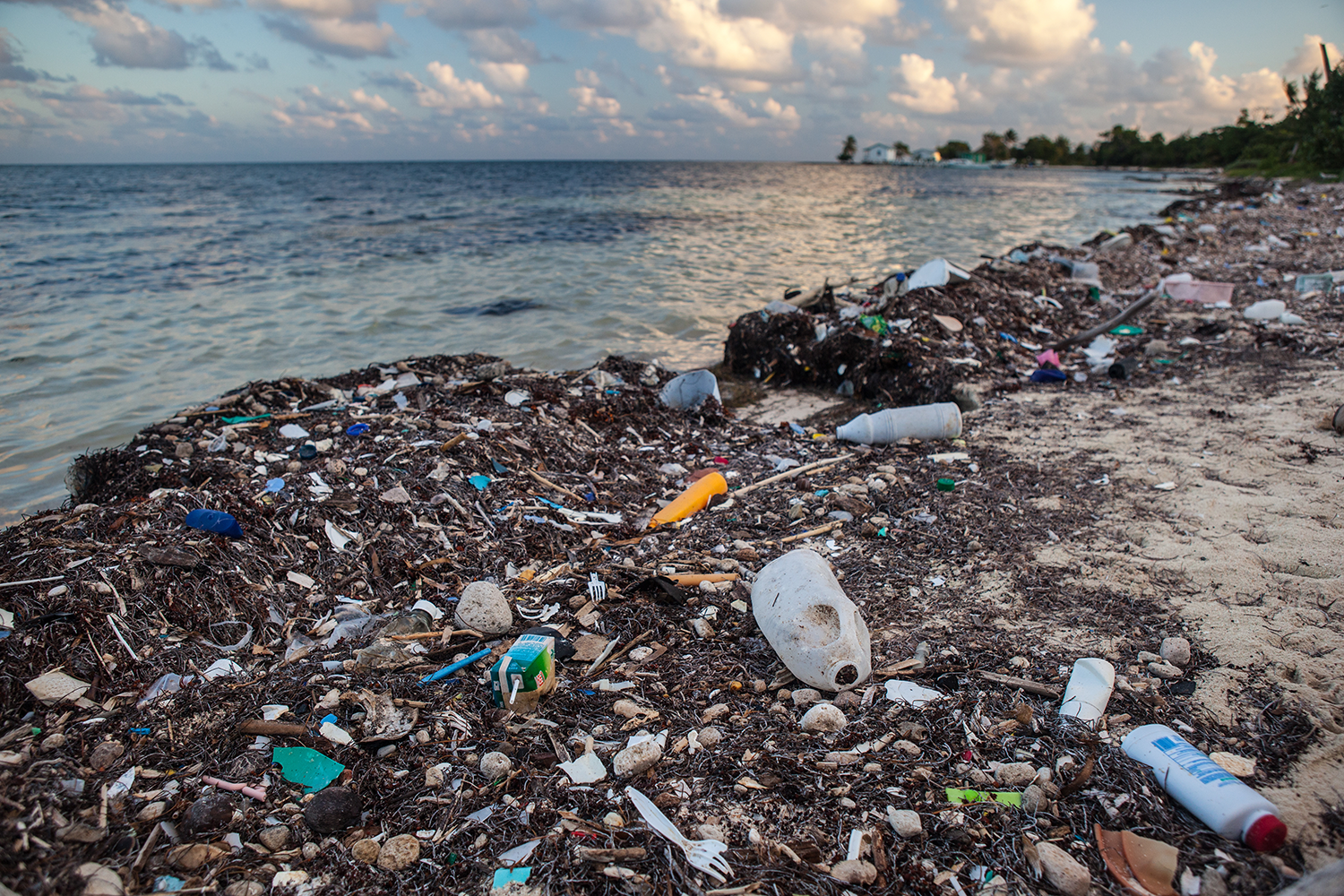 The Daily Rail: Can Restaurants Do More to End the Ocean's Plastic Disaster?