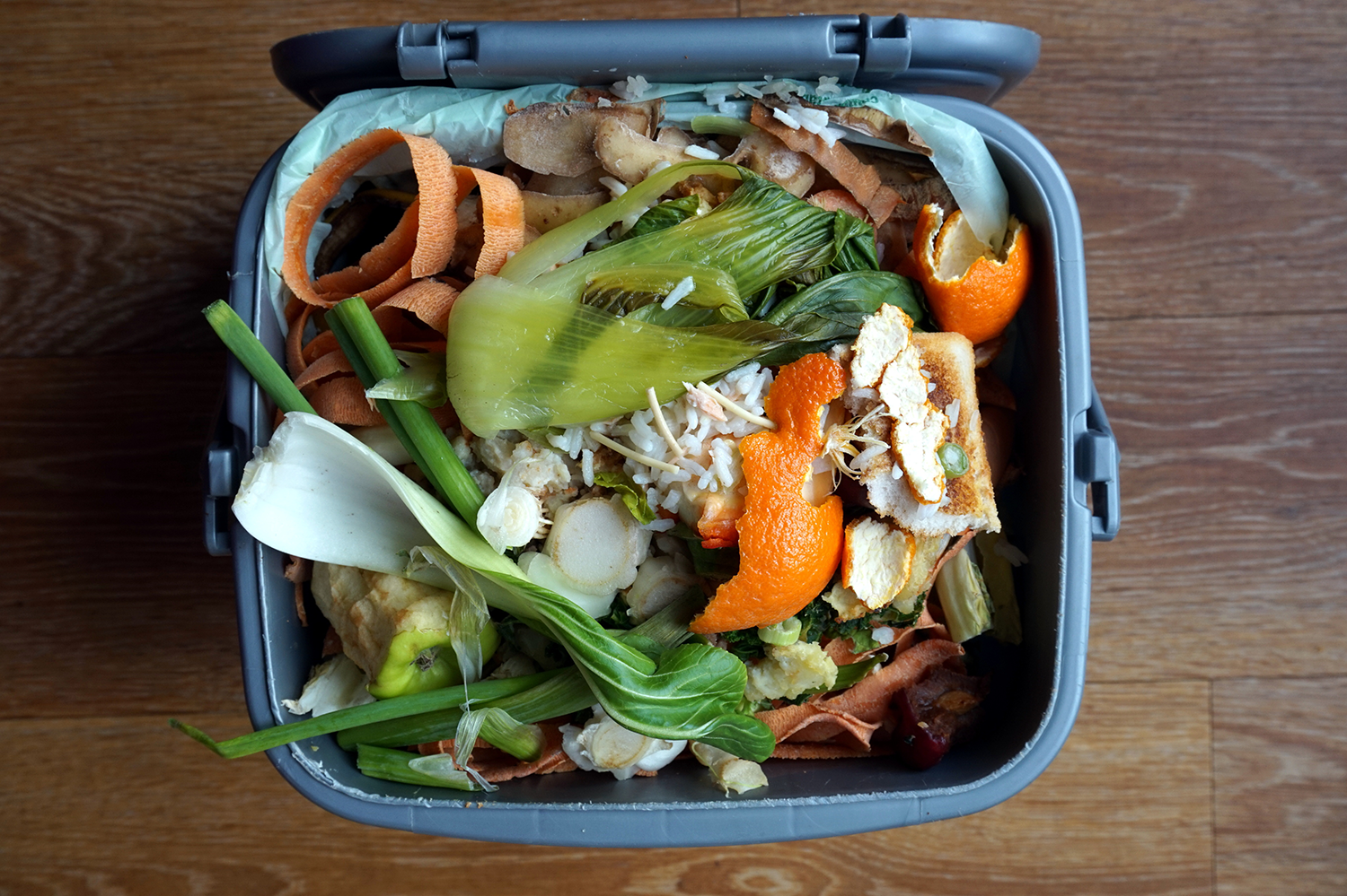 The Daily Rail: Turn Your Restaurant's Waste Into Profit