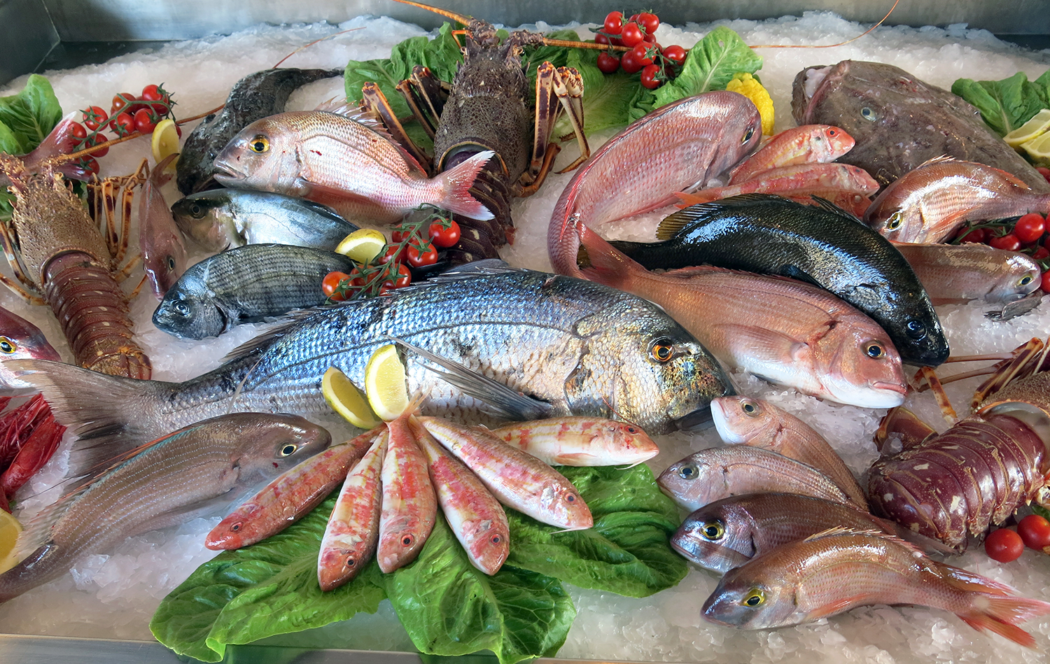 The Daily Rail: Has Your Restaurant Fallen to Fish Fraud?