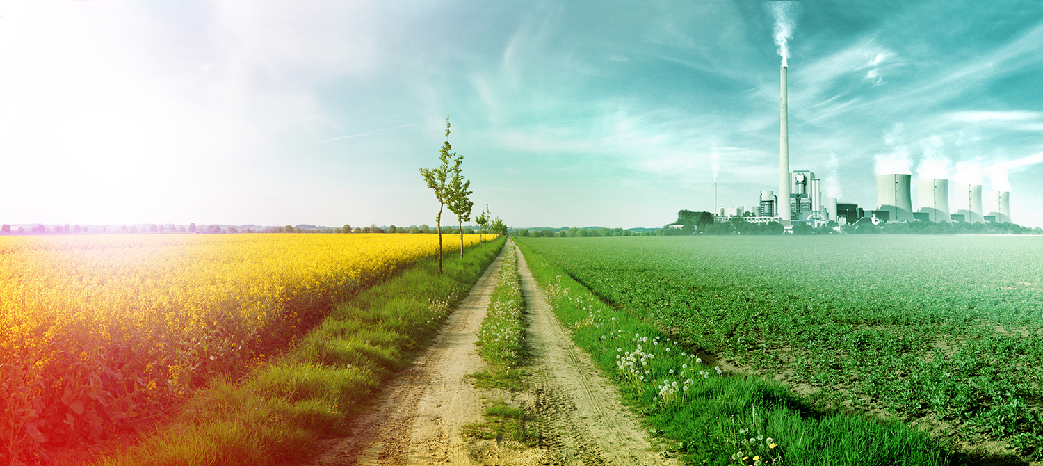 The Daily Rail: Is 'Carbon Farming' the Answer to Our Climate Change Needs?