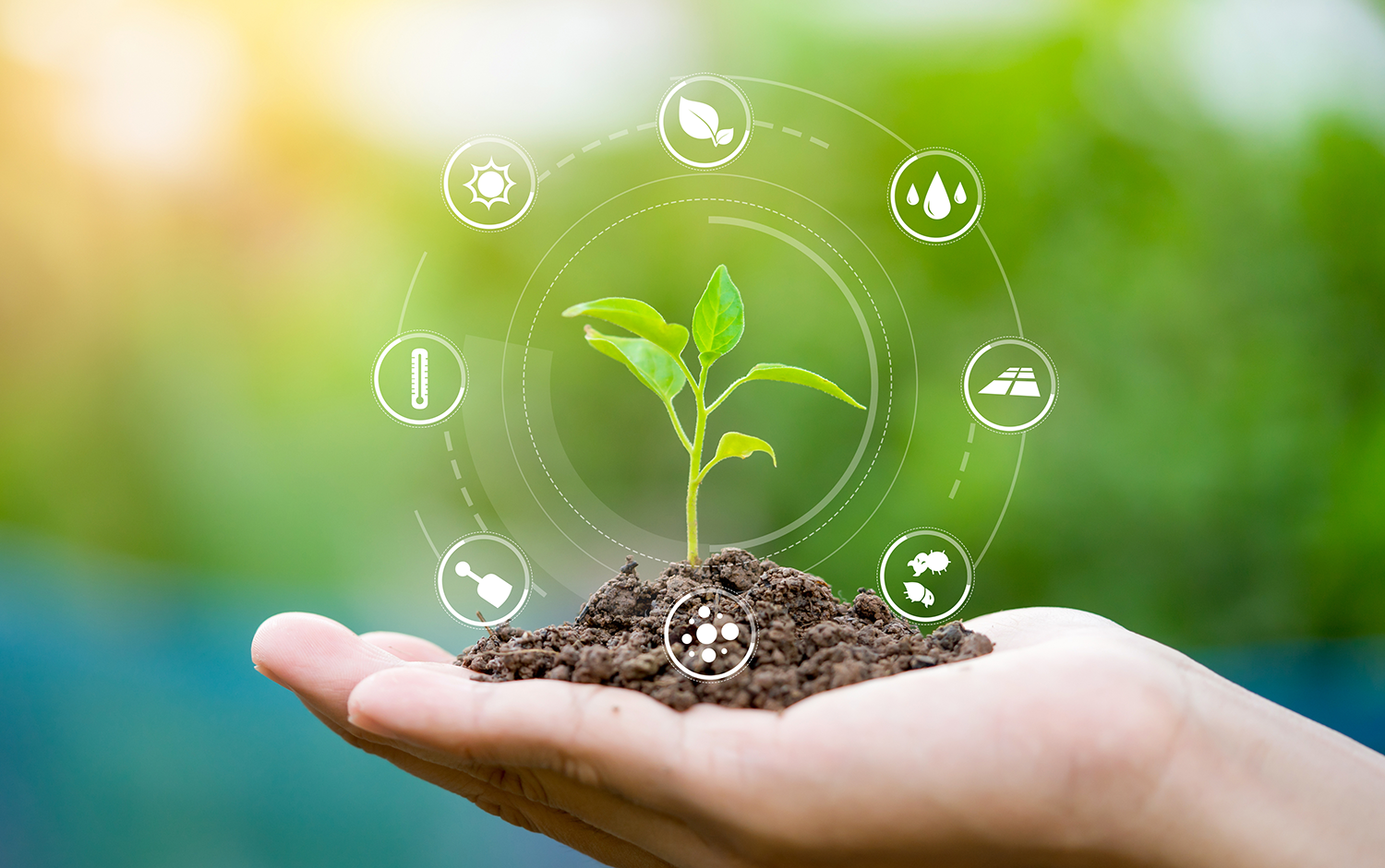 The Daily Rail: Is 'Regenerative Agriculture' the Answer to Our Farming &amp; Climate Change Needs?