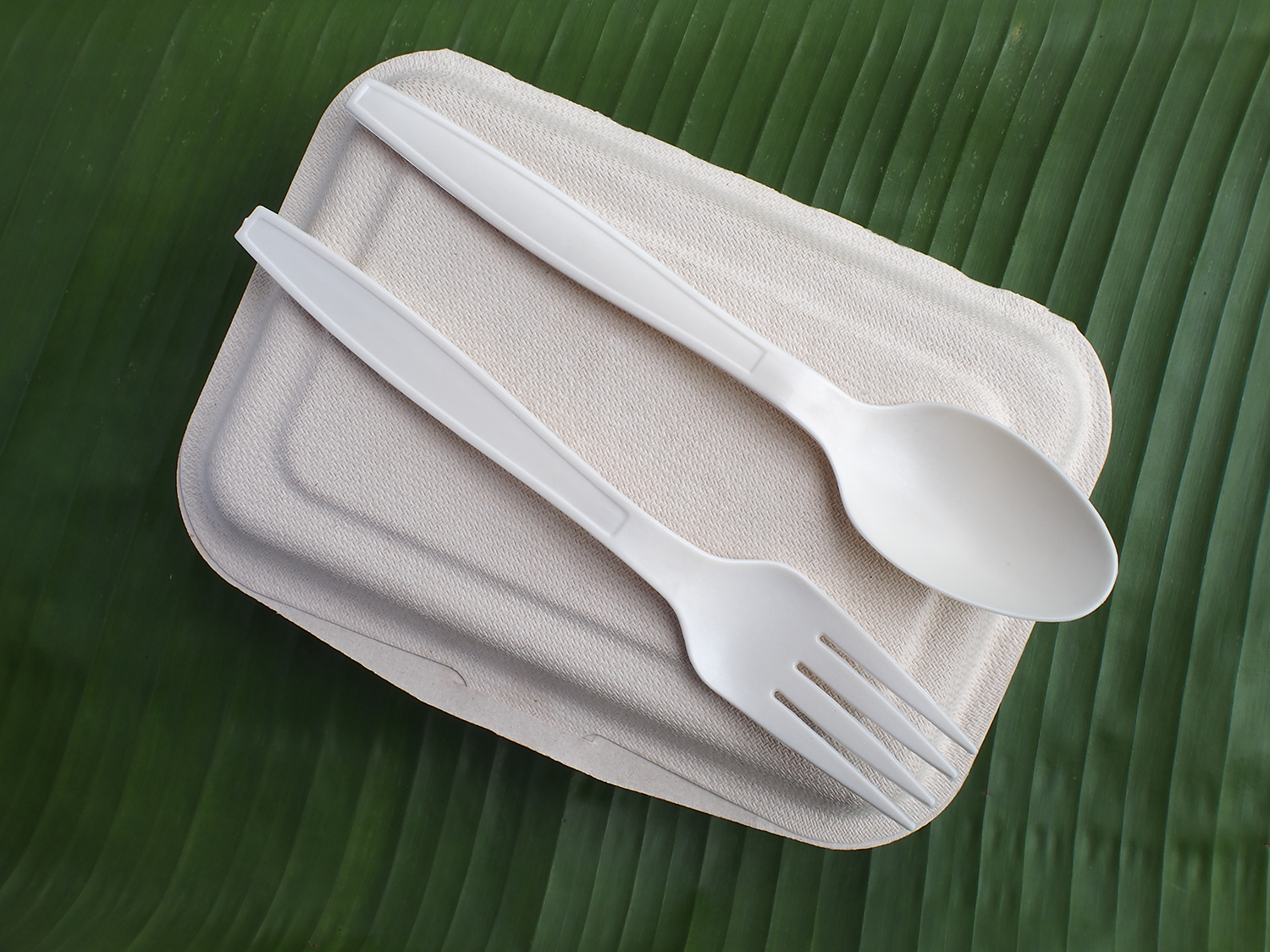The Daily Rail: Sadly for Restaurants, Bio-Plastics Aren't Living Up the Hype