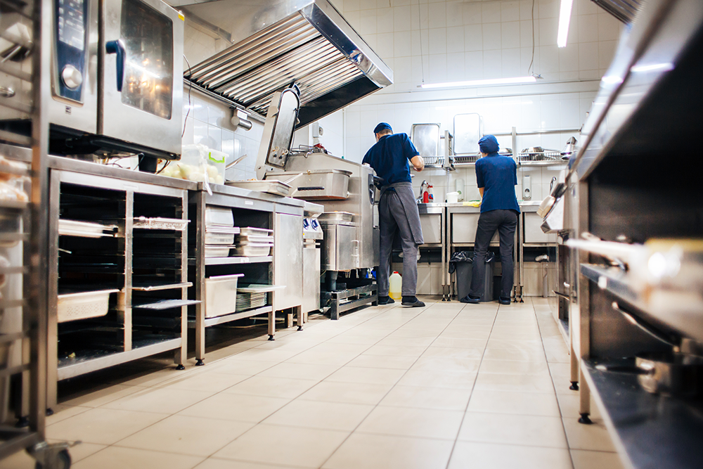 The Pitfalls of Pests: Keeping Your Restaurant Kitchen Clean &amp; Healthy 
