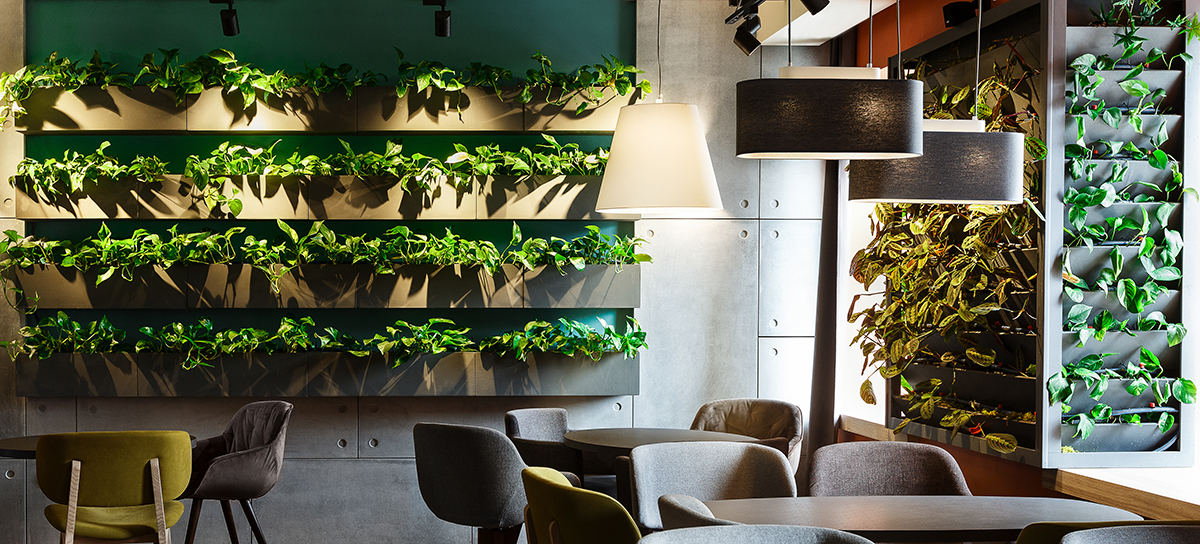 4 Ideas for Going Green in the Restaurant Industry