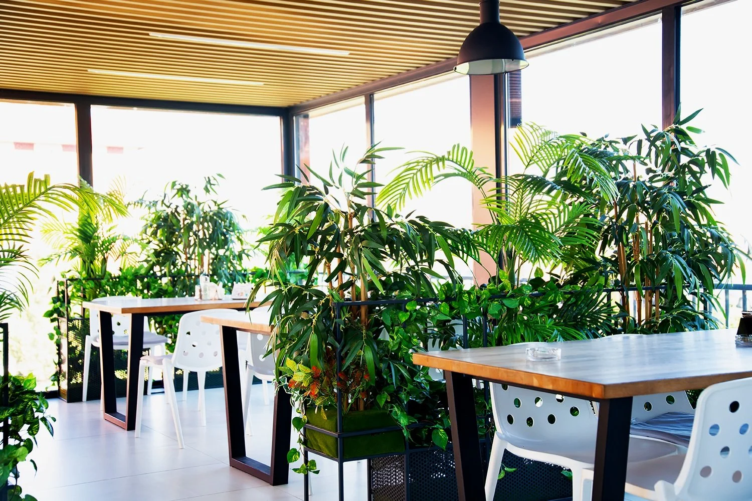 Embracing the Biophilic Design Trend in Your Restaurant 