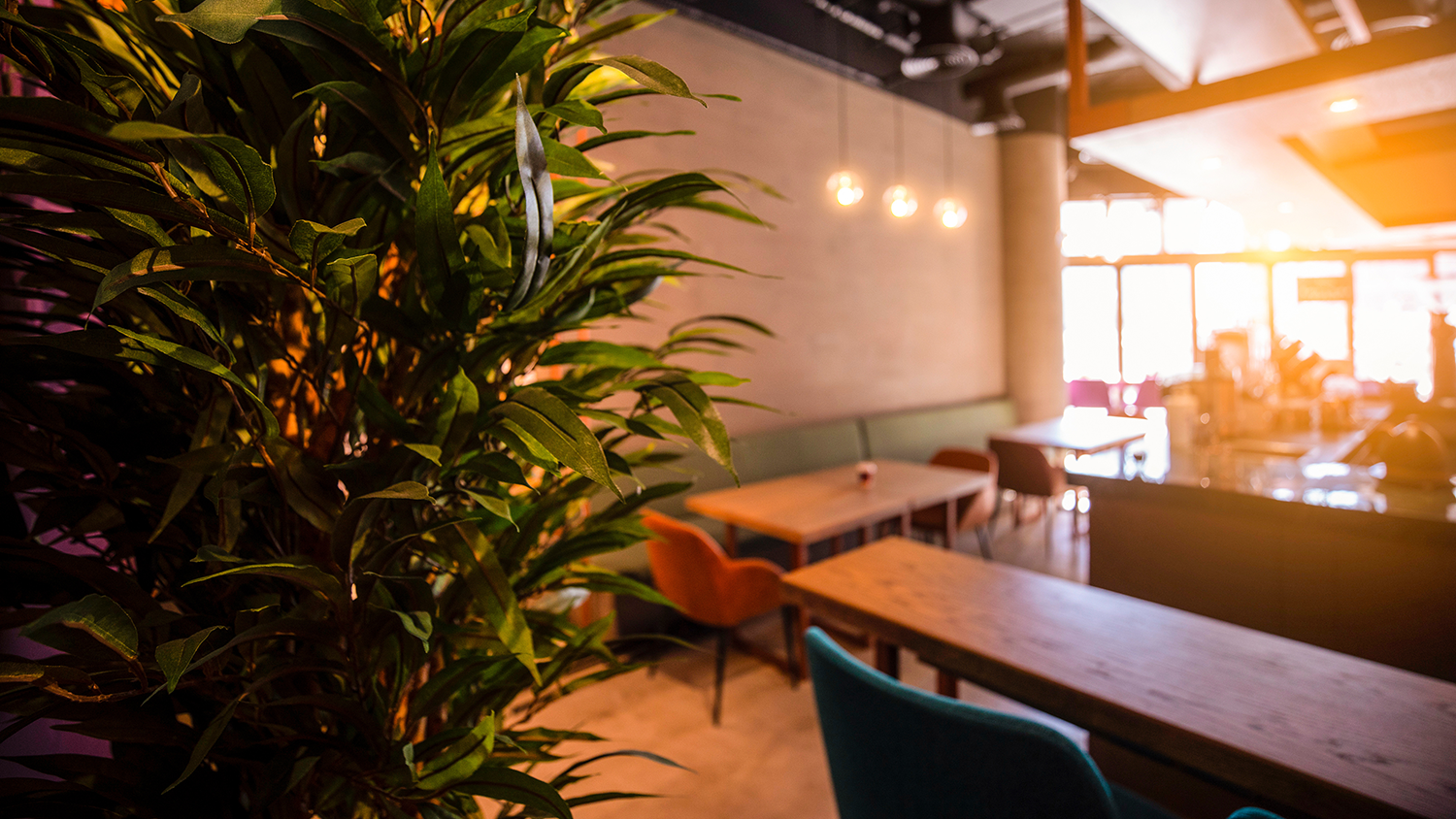 Going Green: Why Sustainability is a Win-Win for the Environment and Your Restaurant 