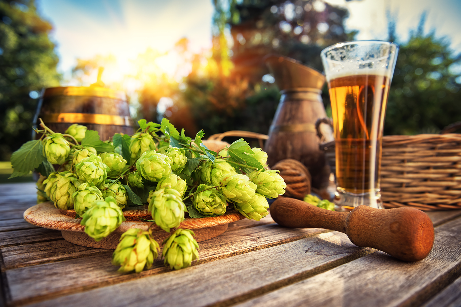 Adding Sustainable Alcohol Options to Your Restaurant