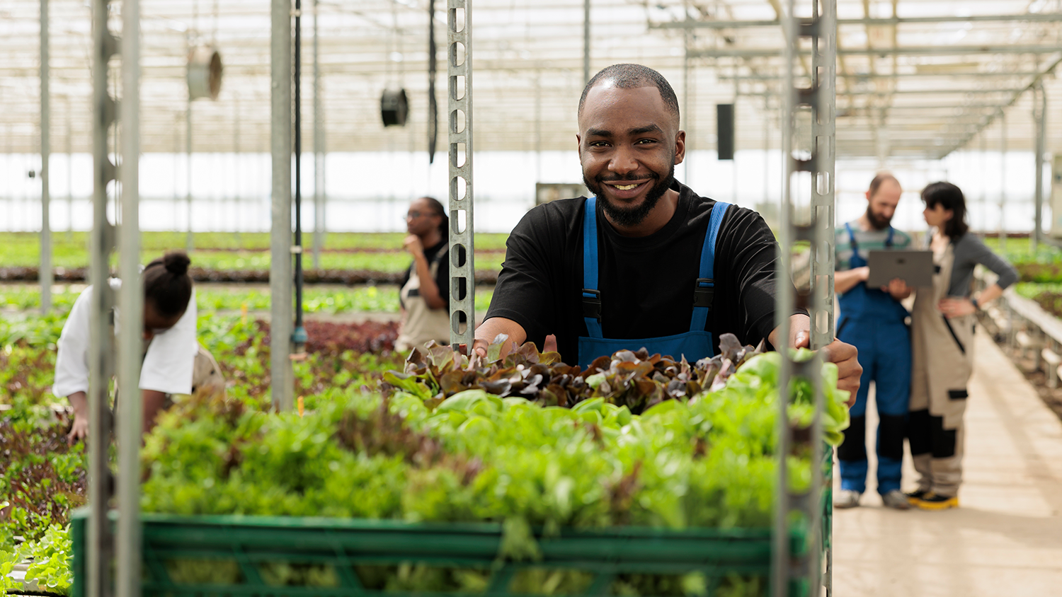 Overcoming the Challenges of Sustainable Sourcing in the Restaurant Industry