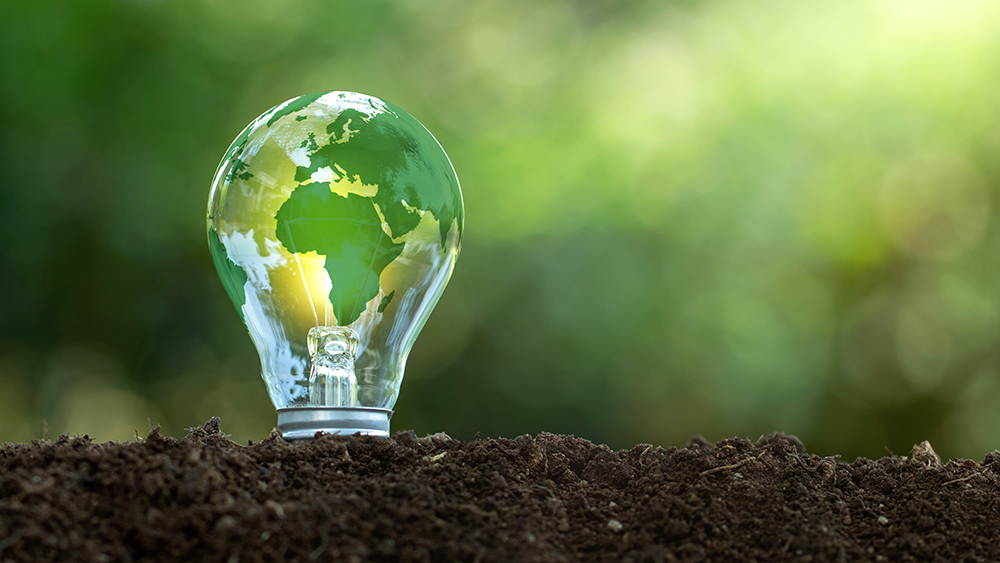A lightbulb with the world superimposed on it, growing out of the ground with a green background behind the lightbulb