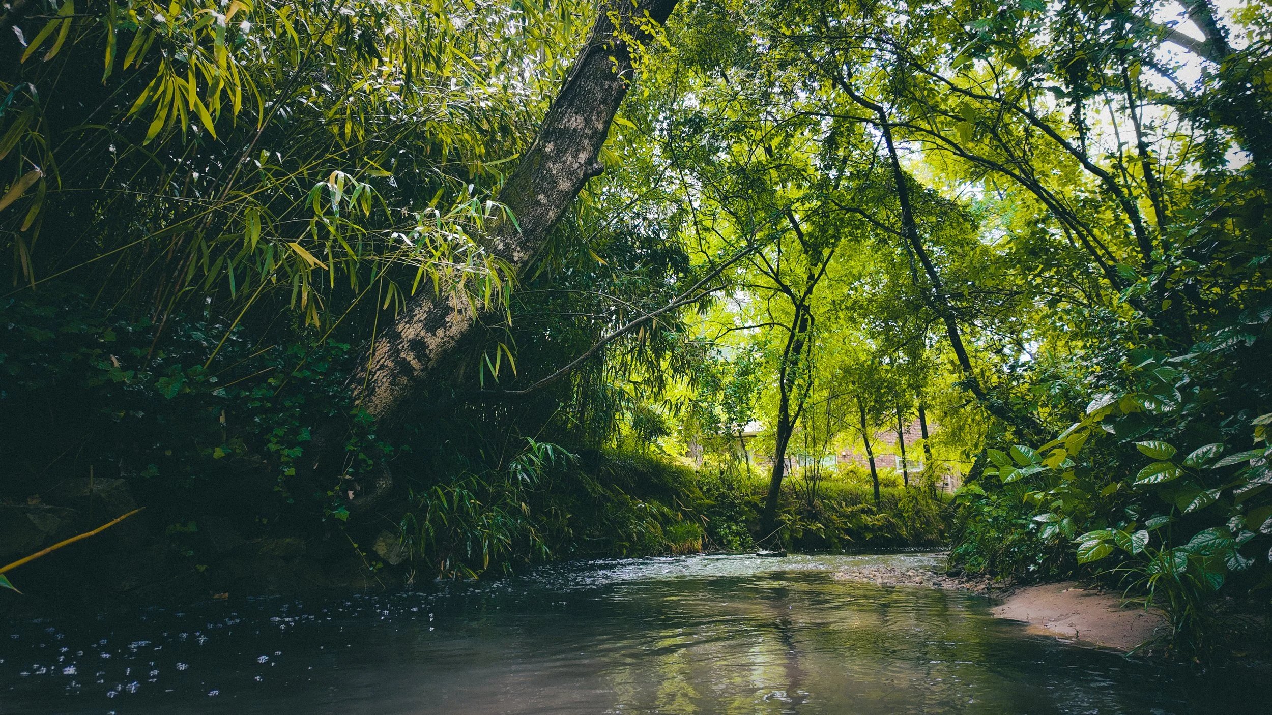 Winding Waters River Pics-30.jpg