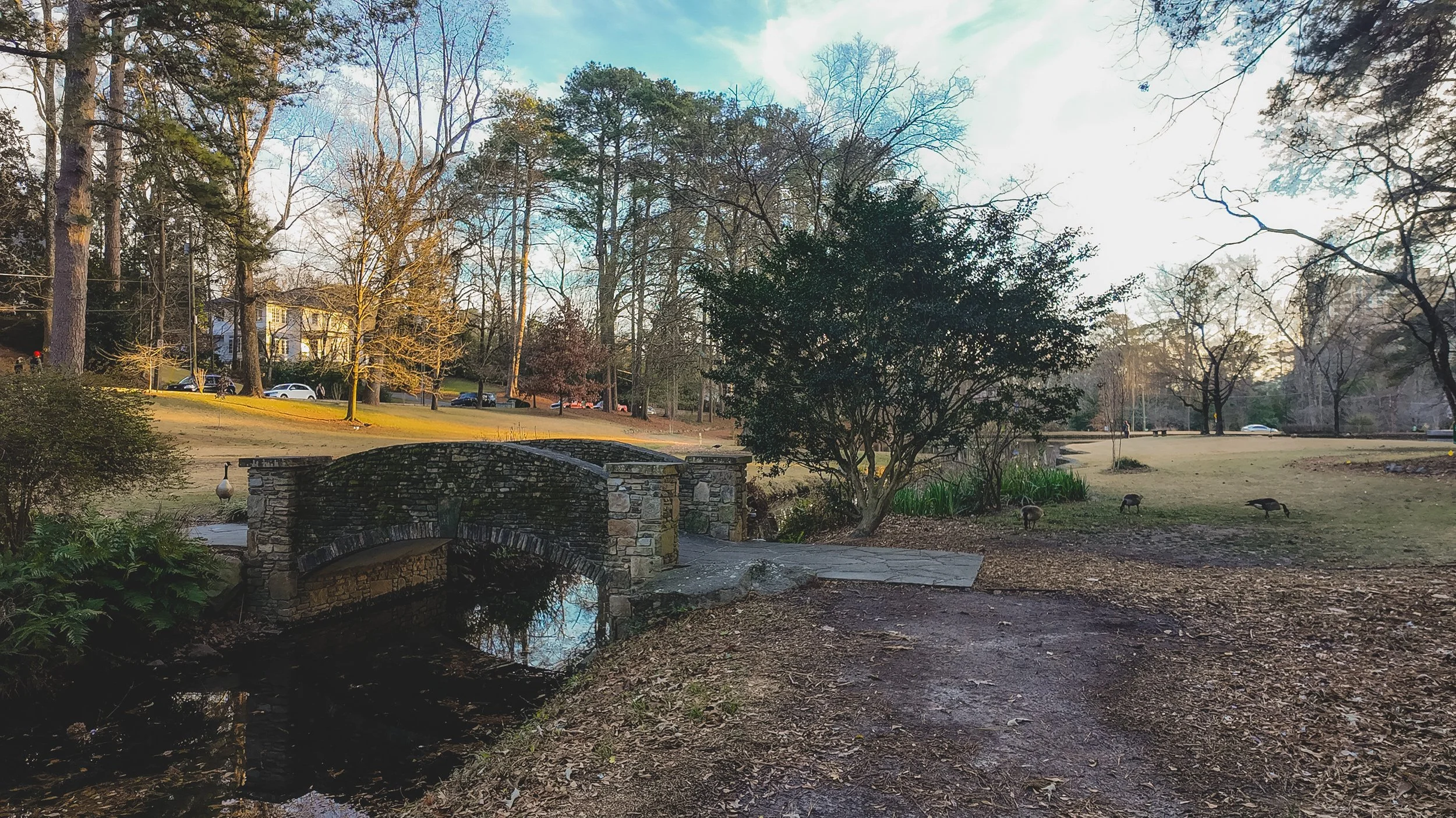 zzzz Duck Pond-4.jpg